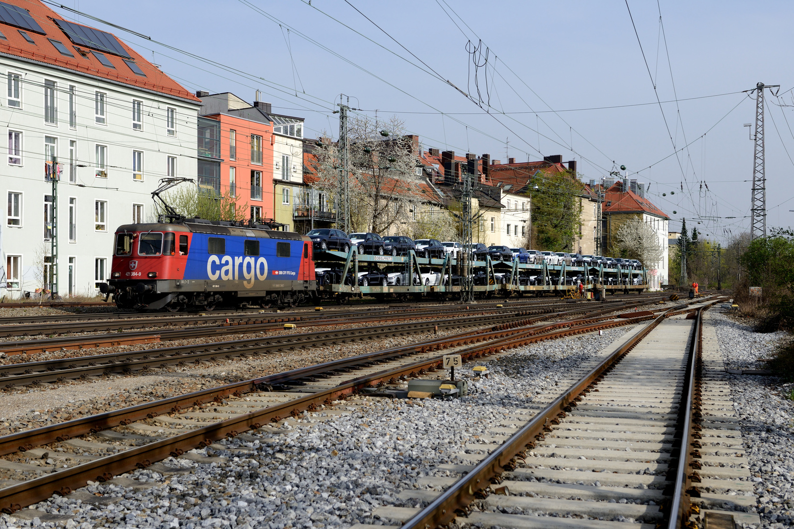 SBB Cargo 421 384 München Süd