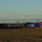 SBB Cargo als Lz....