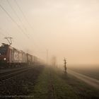 SBB Cargo Re 482 im Oberrheintal