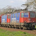 SBB CFF FFS Cargo Doppel