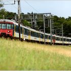 SBB CFF FFS unterwegs nach Herrliberg