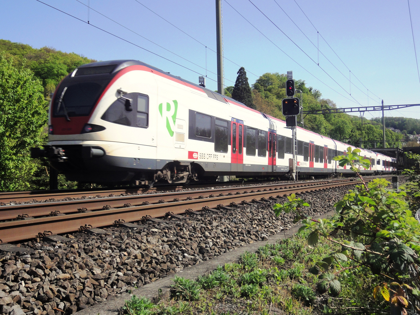 SBB Flirt in Münchenstein