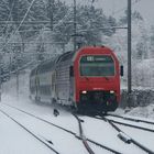 SBB Re 450 mit S-Bahn in Würenlos