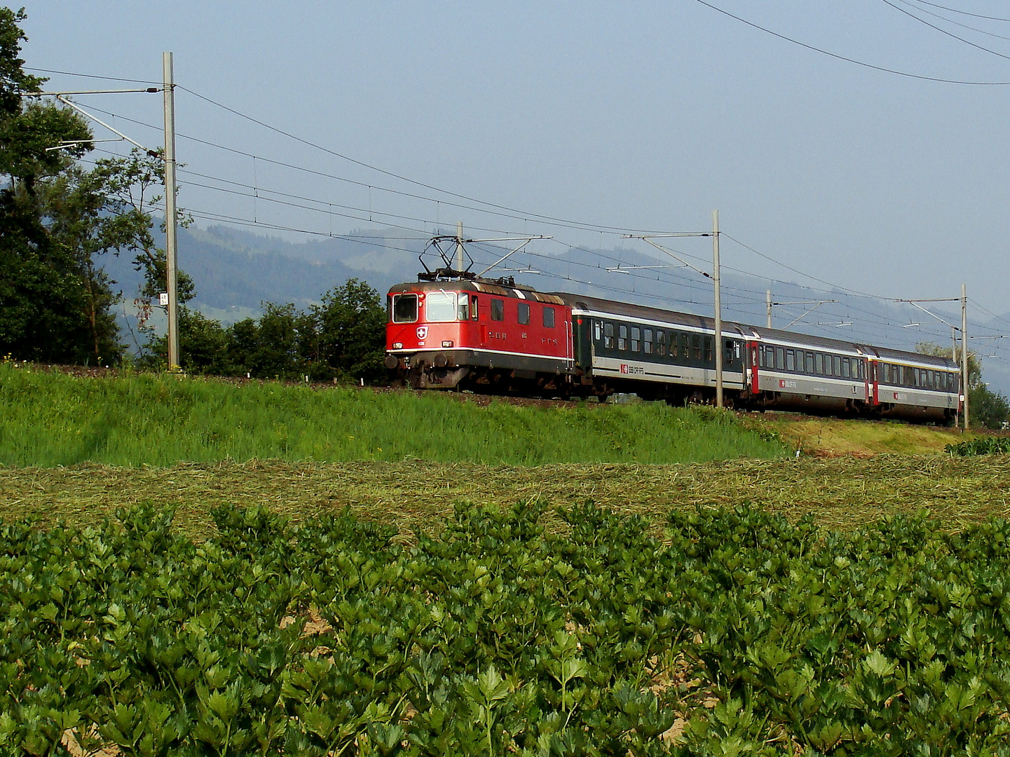 SBB / Reichenburg