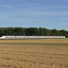 SBB  Triebwagen bei Graben Neudorf