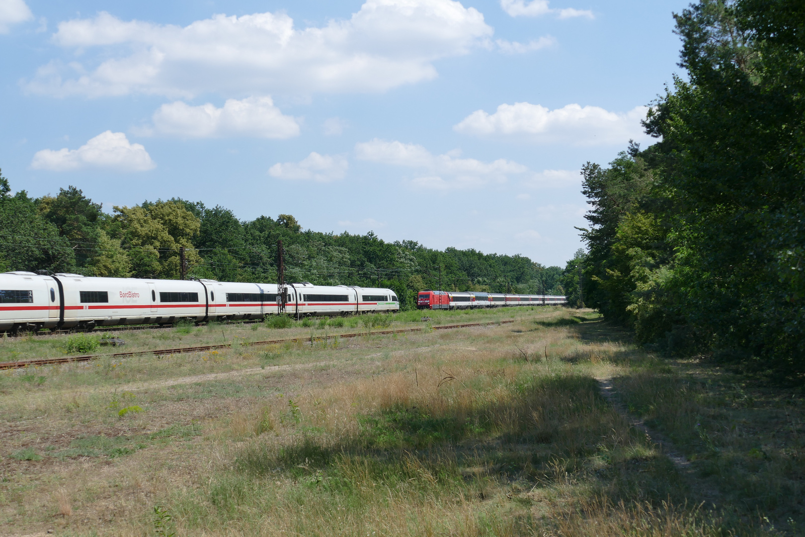 SBB Züge auf neuen Wegen 5