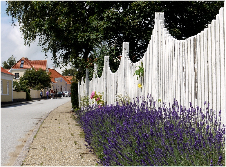 Sæby - mit Lavendel (überarbeitet)