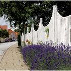 Sæby - mit Lavendel (überarbeitet)