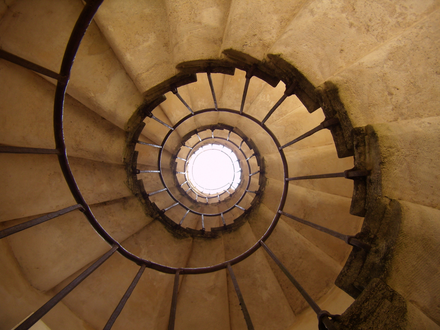 scala a chiocciola - Villa Pisani - Stra