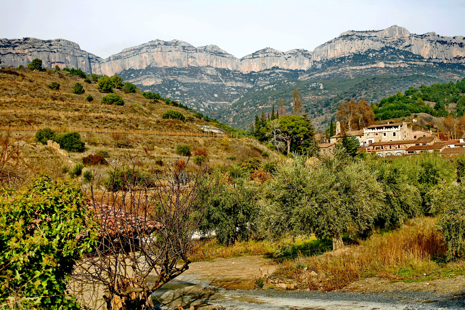 Scala Dei de Isabel Soriano