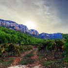 Scala Dei - La Morera Montsant - vinyes i la serra del Montsant - Priorat