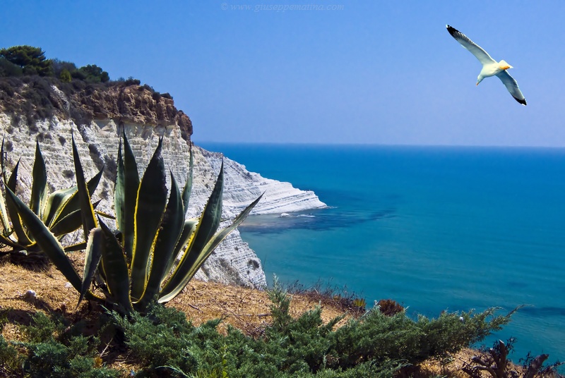 Scala dei Turchi (Agrigento)