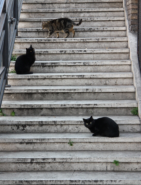 Scala / Treppe / Staircase