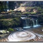 scaleber force, yorkshire