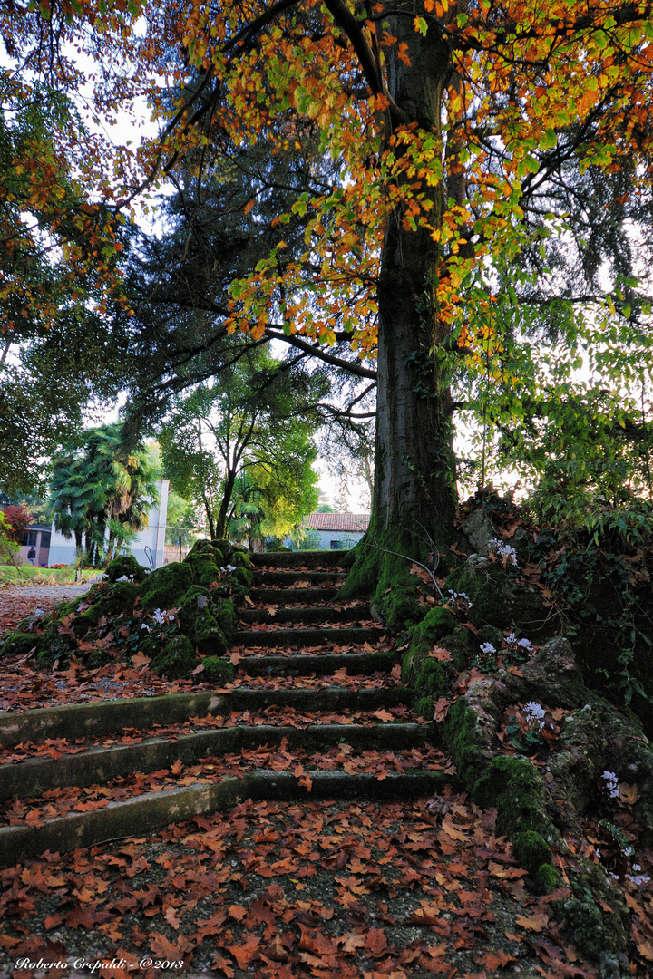 Scalinata nel parco