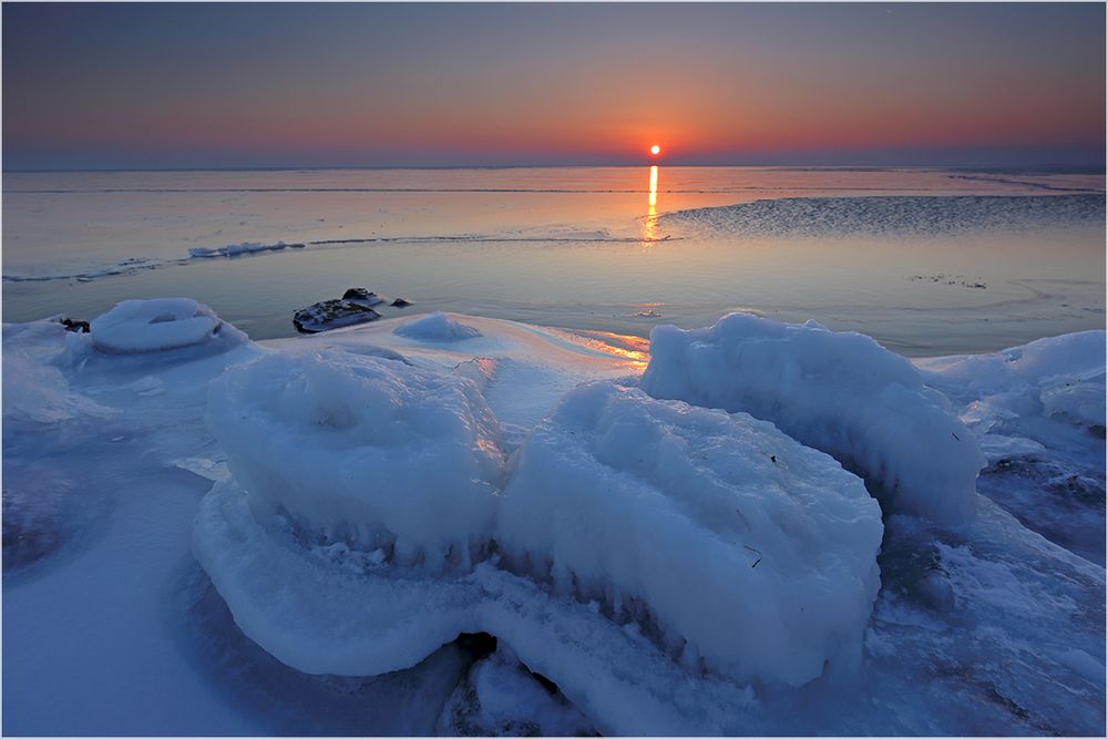 Scallops on Ice Foto & Bild deutschland, europe, mecklenburg