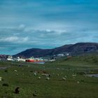 Scalloway