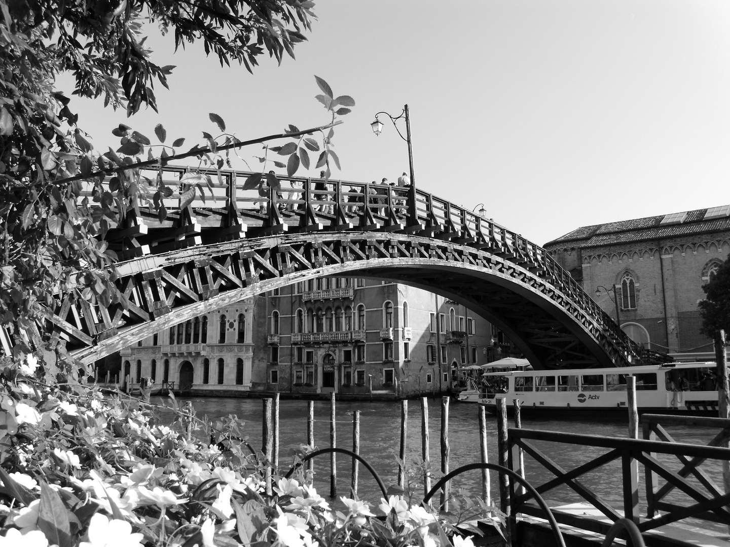 Scalzi-Brücke (Venedig)