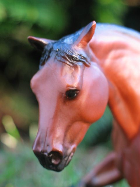 Scamper- Breyer Modellpferd/ Classic Sice