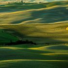 Scampoli di Val d'Orcia