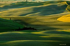 Scampoli di Val d'Orcia
