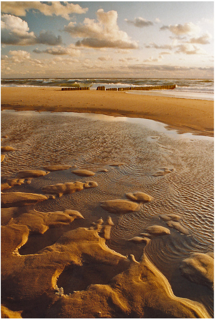 Scan: Am Strand von Kampen