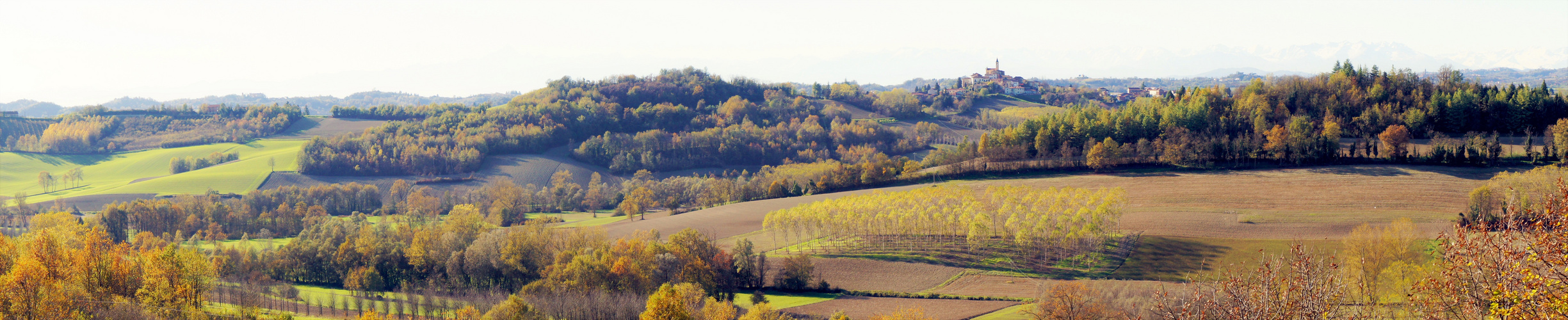 Scandeluzza (Montiglio Monferrato)