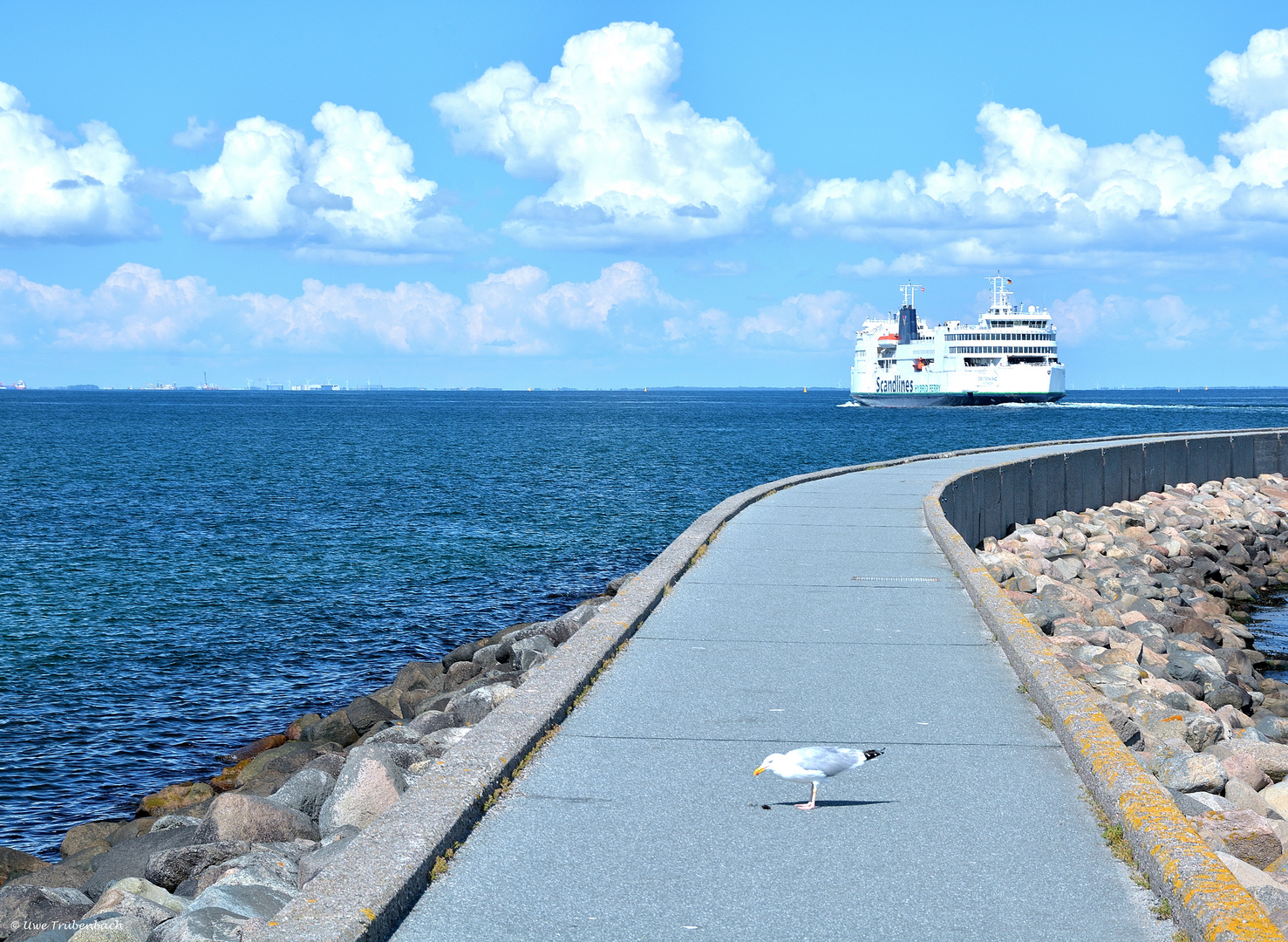 Scandlines-Fähre zwischen Puttgarden und Rødbyhavn (2)