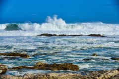  Scarborough Beach   DSC_4998