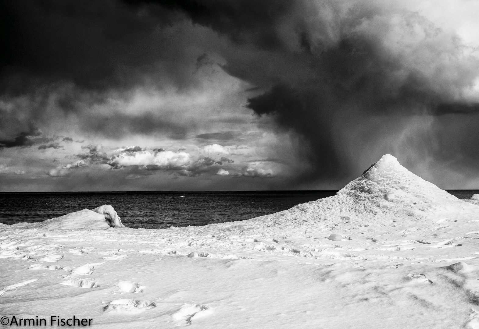 Scarborough Bluffs_white swan