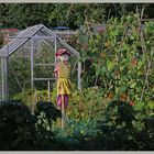 scarecrow 4 north jesmond allotments