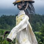 Scarecrow at the Jatiluwih paddy fields