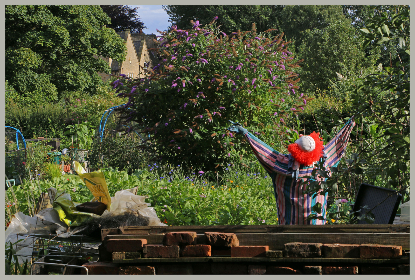 scarecrow highbury allotments 1c