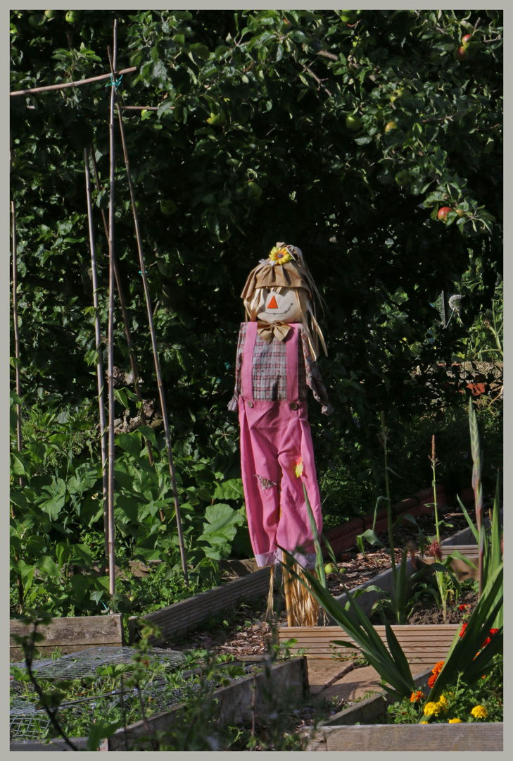 scarecrow north jesmond allotments