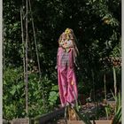 scarecrow north jesmond allotments