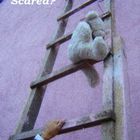 scared?