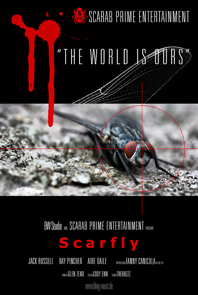 Scarfly - Filmplakat