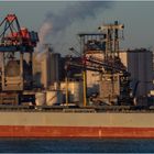  SCARLET ROBIN, Bulk Carrier, Rotterdam.