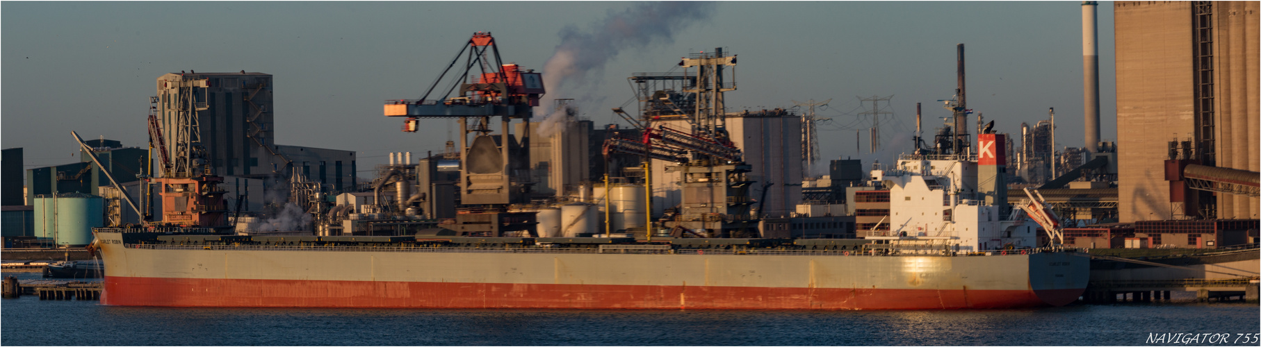  SCARLET ROBIN, Bulk Carrier, Rotterdam.