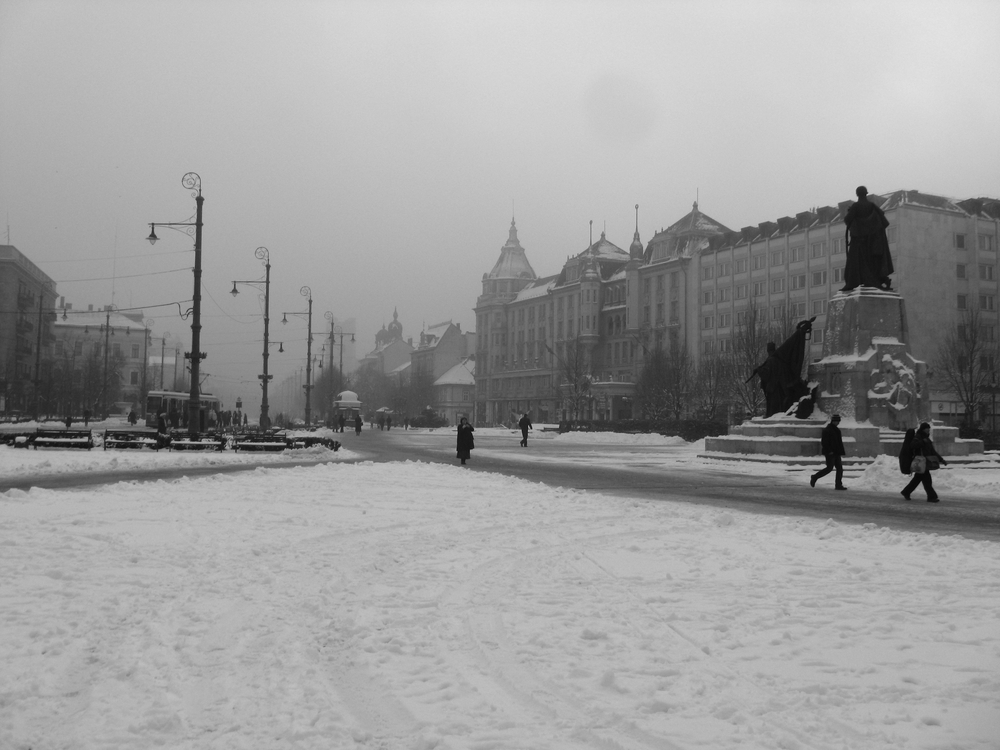 Scatti invernali