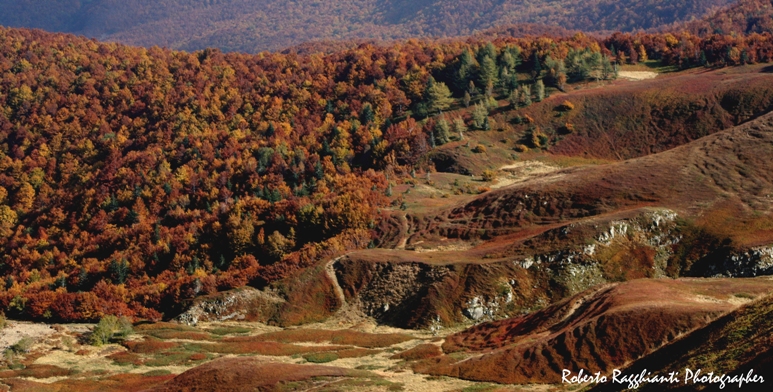 Scegliete il colore che vi piace