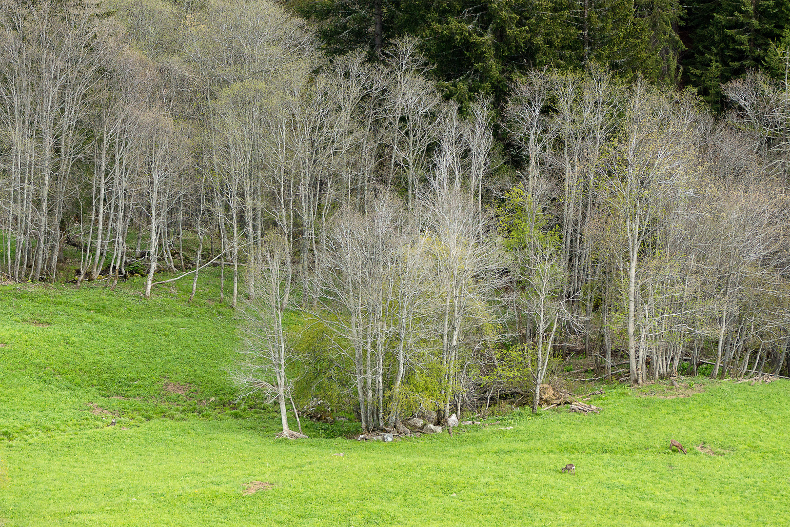 Scenari di montagna in maggio