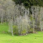 Scenari di montagna in maggio