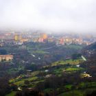 scende la nebbia