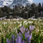 Scendendo dal Rifugio Calvi (Bergamo)