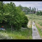 scène champêtre autour de Vitré