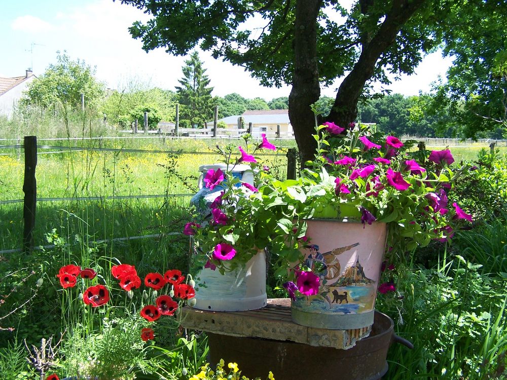 Jardin Du Printemps