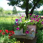 Scène champêtre du jardin au printemps