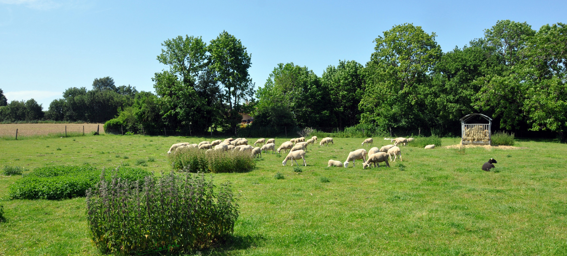 scene de rascisme ordinaire