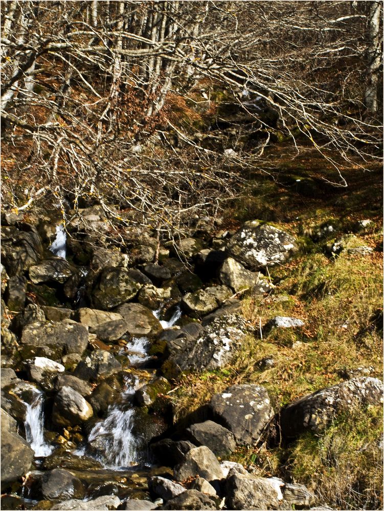 Scène de ru dans les Hautes Pyrénées -- Bächlein in den Pyrenäen